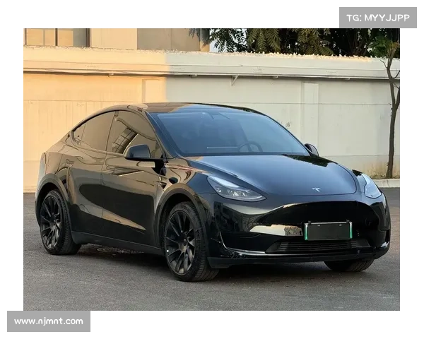 全新特斯拉ModelY曝光，配备大尾翼，简洁但不简单